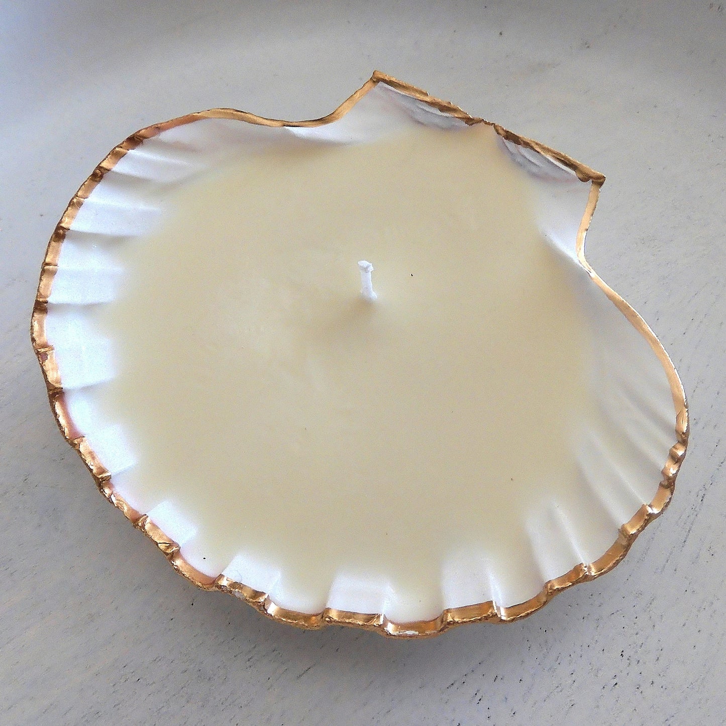 LIMITED EDITION FRIDA KAHLO GIFT HAMPER 'The World is Your Oyster'