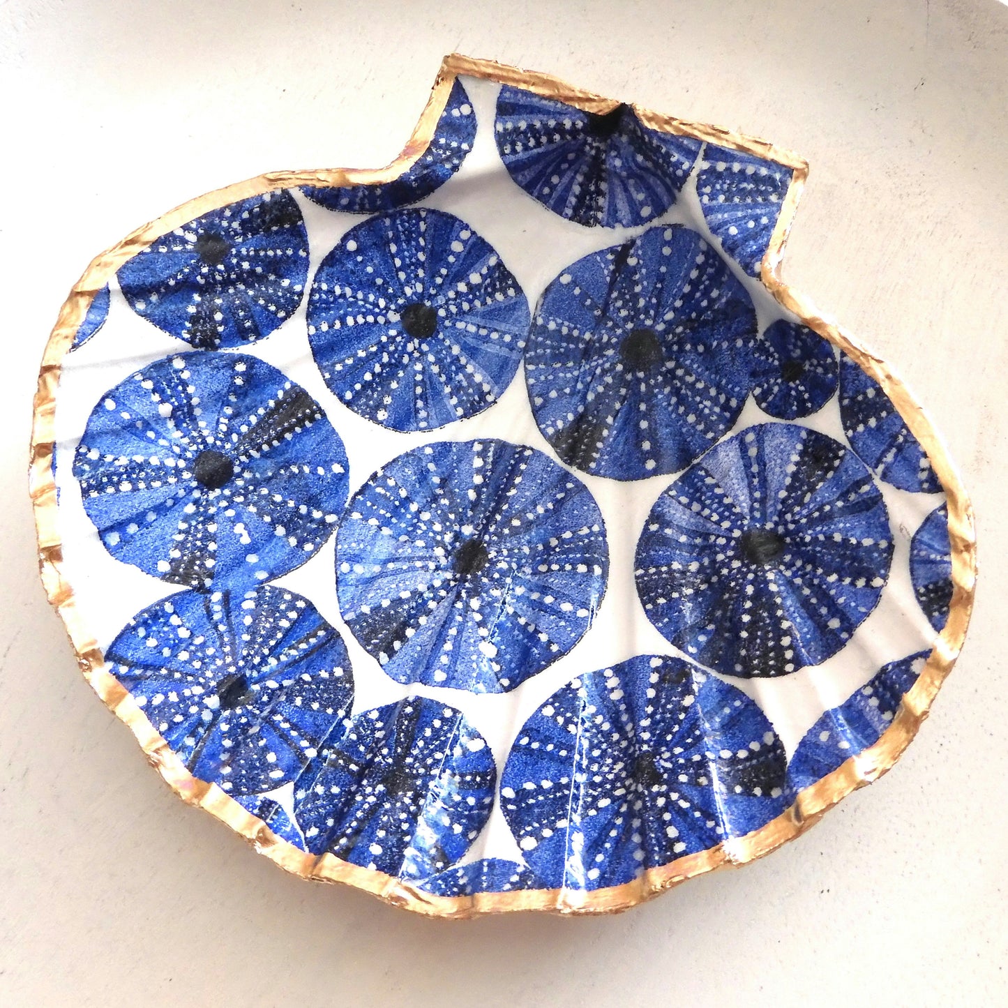 SCALLOP SHELL TRINKET DISH 'SEA URCHINS'
