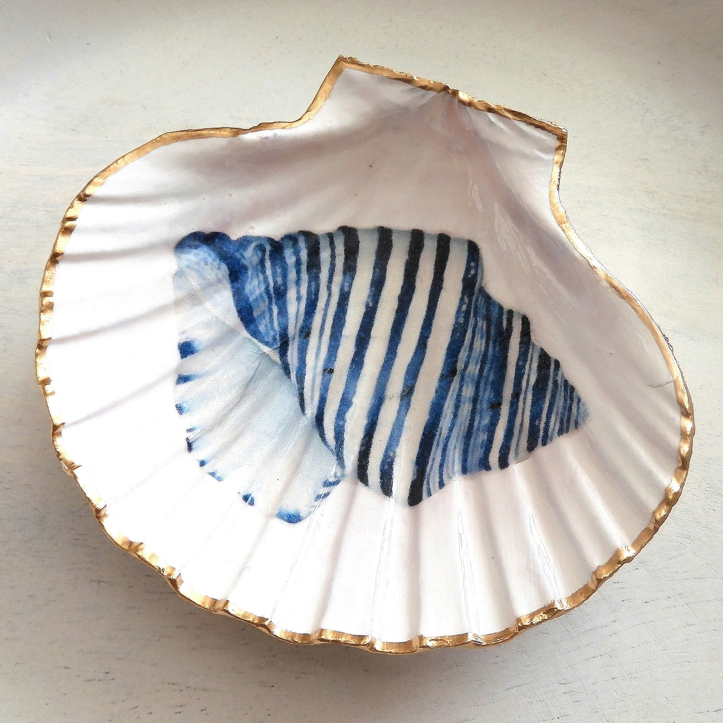 SCALLOP SHELL TRINKET 'CONUS SHELL'