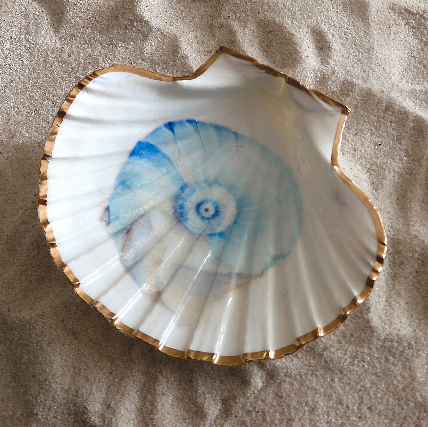 SCALLOP SHELL TRINKET DISH - 'NAUTILUS SHELL'