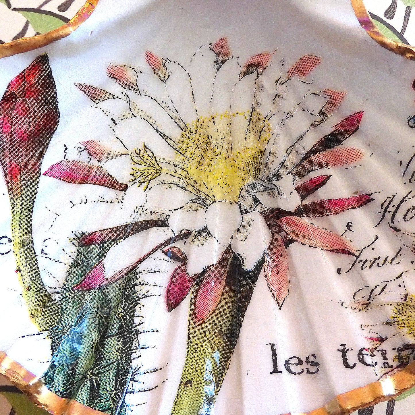 SCALLOP TRINKET DISH 'DESERT FLOWER'