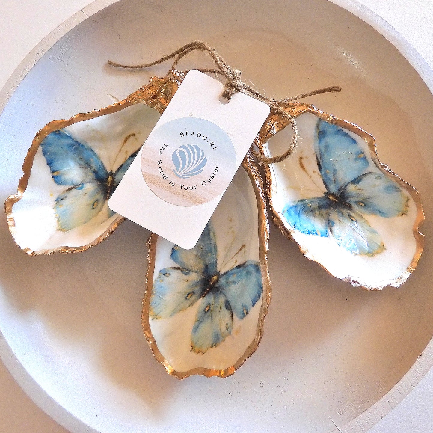 OYSTER SHELL TRINKET DISH XL - BUTTERFLY BLUE