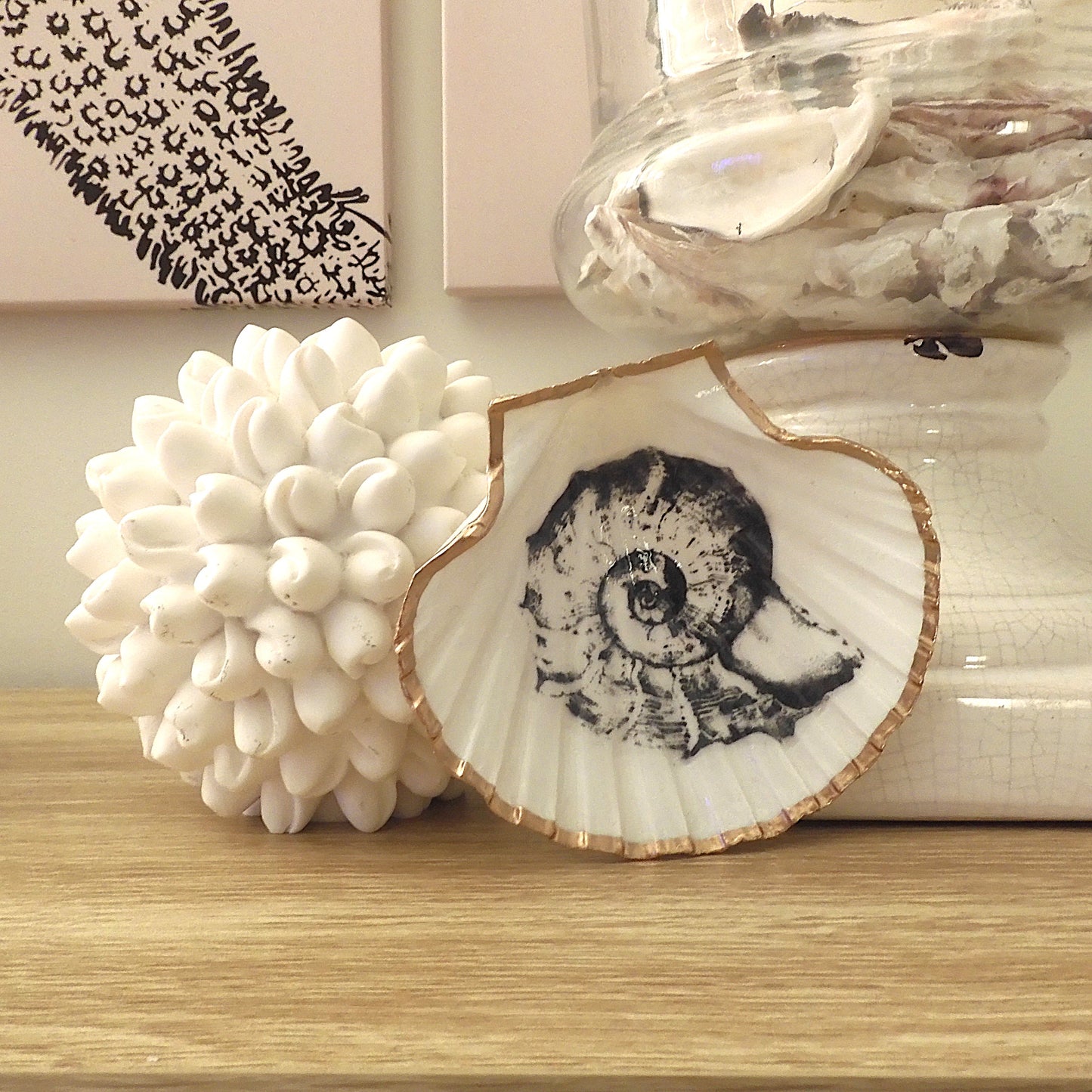 SCALLOP TRINKET DISH 'NAUTILUS' BLACK AND WHITE