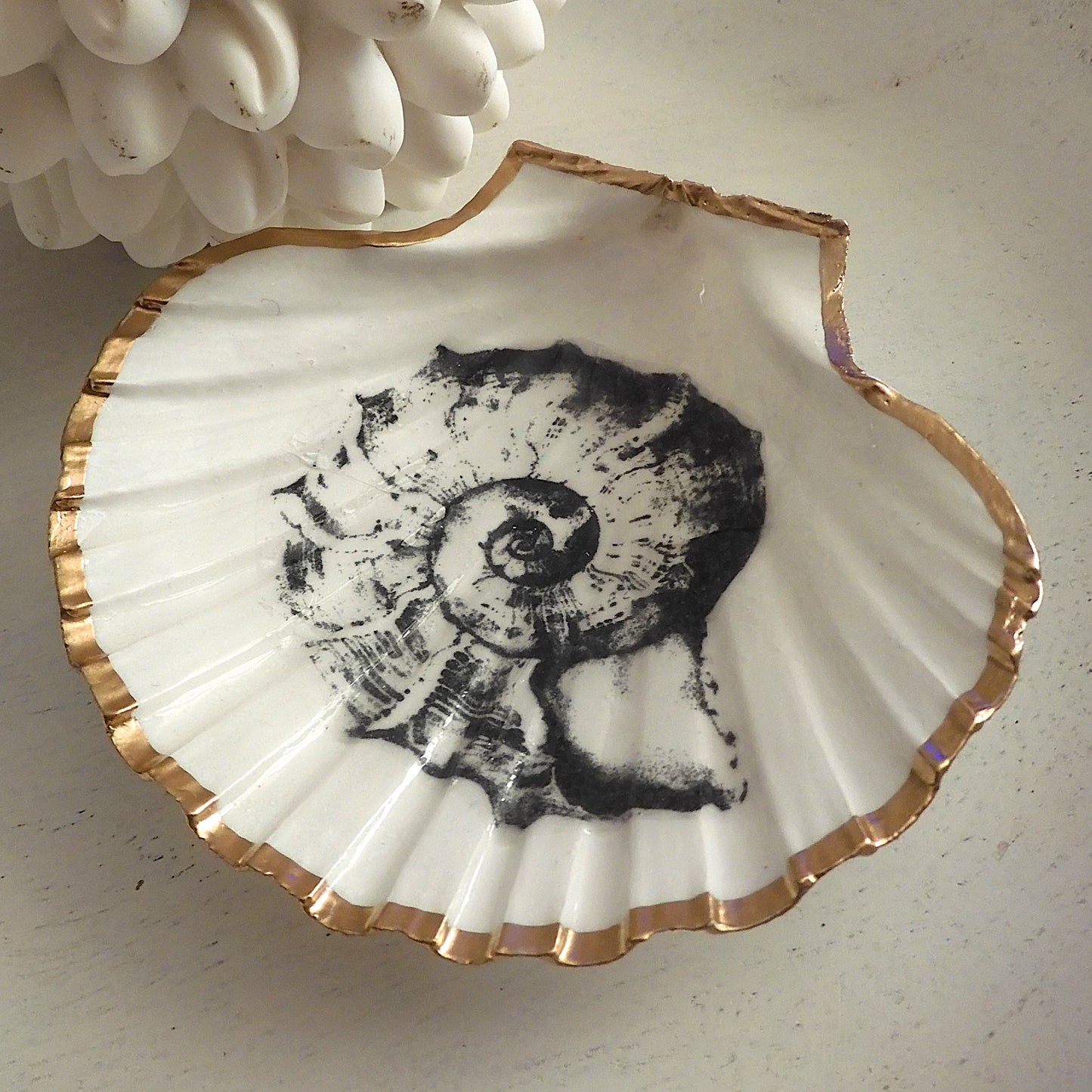 SCALLOP TRINKET DISH 'NAUTILUS' BLACK AND WHITE
