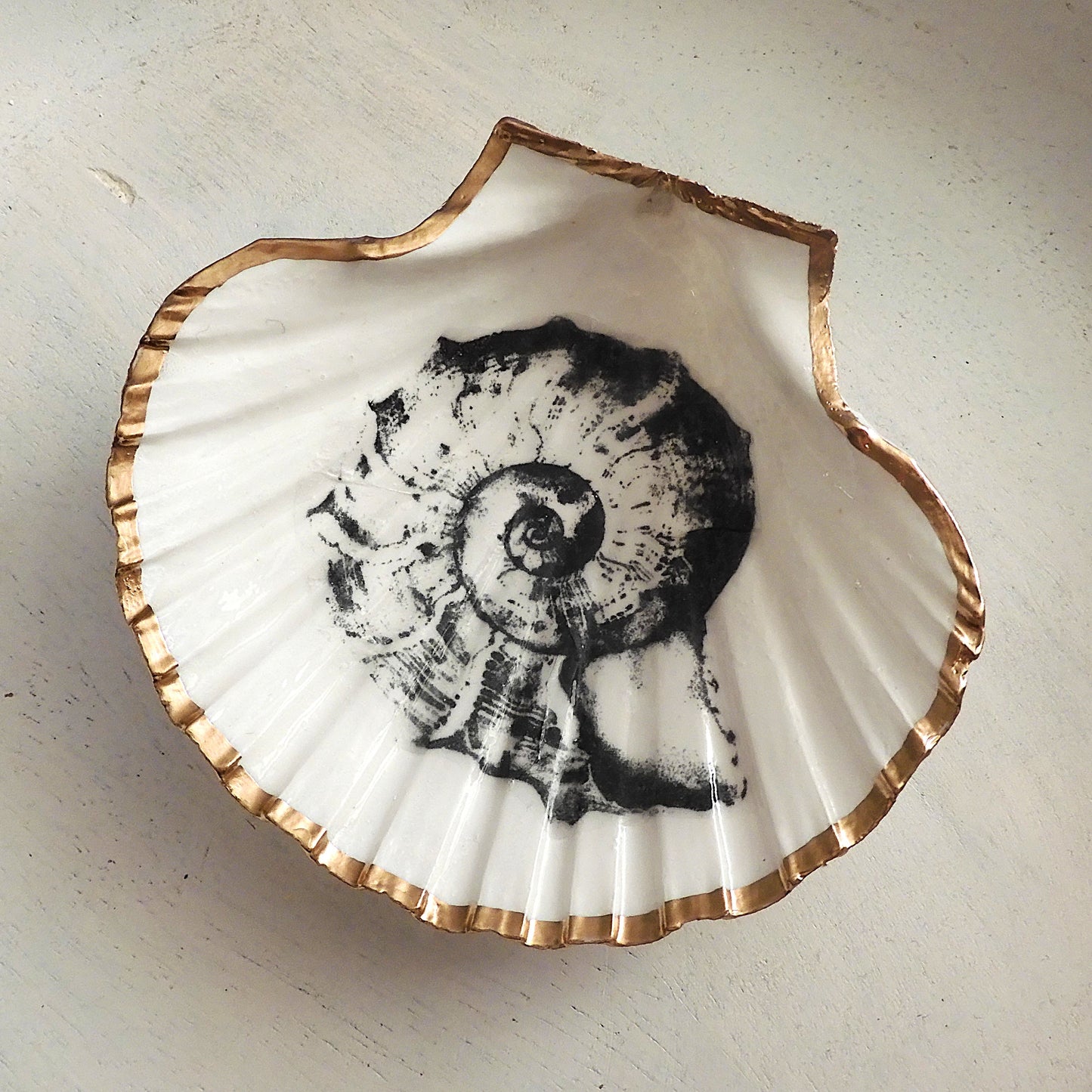 SCALLOP TRINKET DISH 'NAUTILUS' BLACK AND WHITE