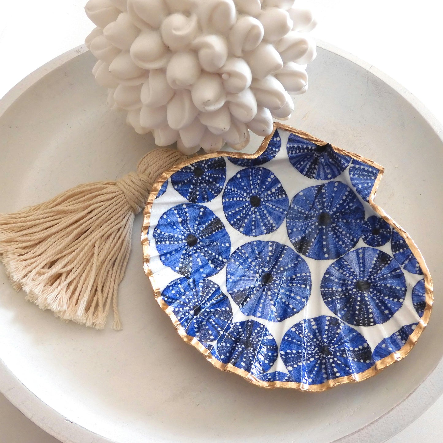 SCALLOP SHELL TRINKET DISH 'SEA URCHINS'