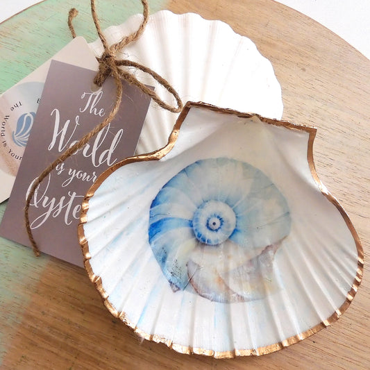 SCALLOP SHELL TRINKET DISH - 'NAUTILUS SHELL'