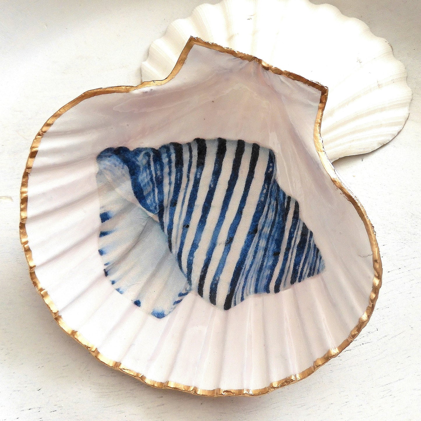 SCALLOP SHELL TRINKET 'CONUS SHELL'