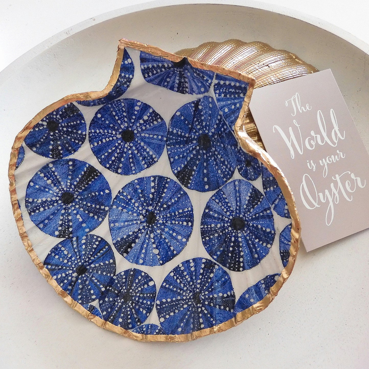 SCALLOP SHELL TRINKET DISH 'SEA URCHINS'