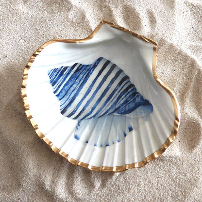 SCALLOP SHELL TRINKET 'CONUS SHELL'