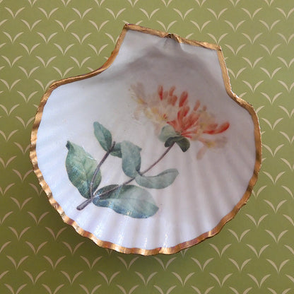 SCALLOP TRINKET DISH 'HONEYSUCKLE'