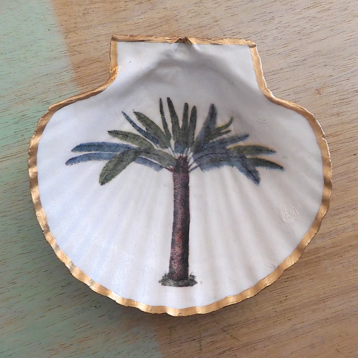 SCALLOP TRINKET DISH 'ISLAND PALM'