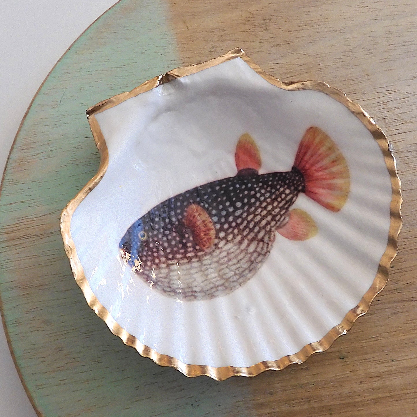 SCALLOP TRINKET DISH 'BLOWFISH'