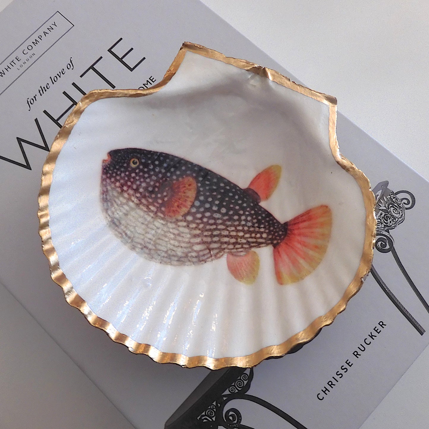 SCALLOP TRINKET DISH 'BLOWFISH'