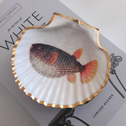 SCALLOP TRINKET DISH 'BLOWFISH'