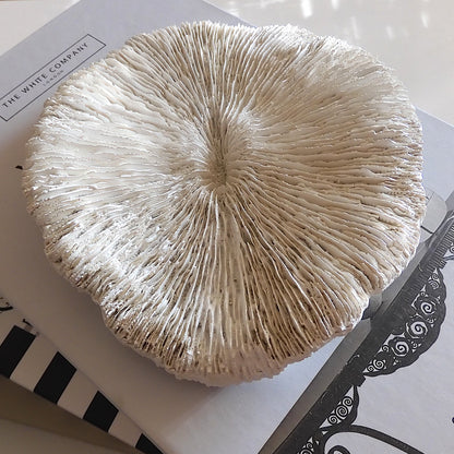 COASTAL STYLE CORAL MUSHROOM DECOR SHELL
