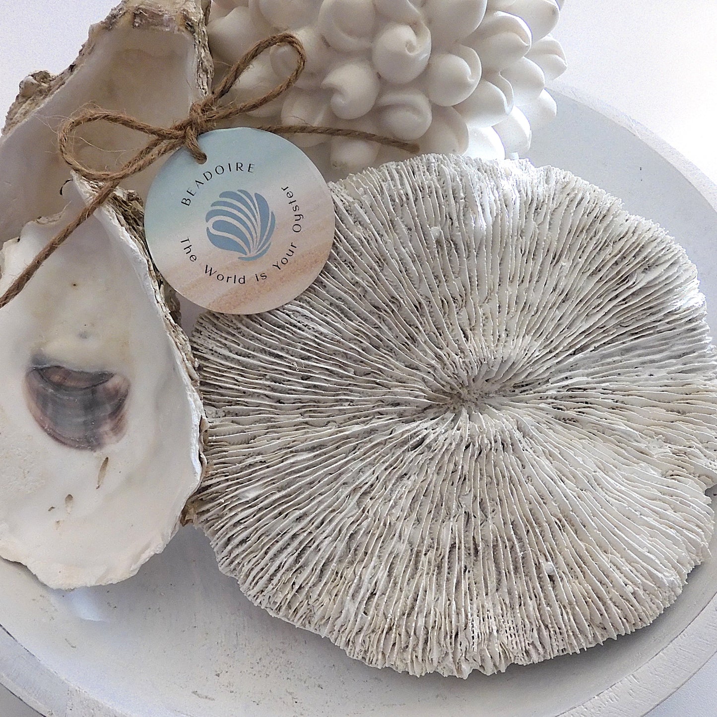 COASTAL STYLE CORAL MUSHROOM DECOR SHELL