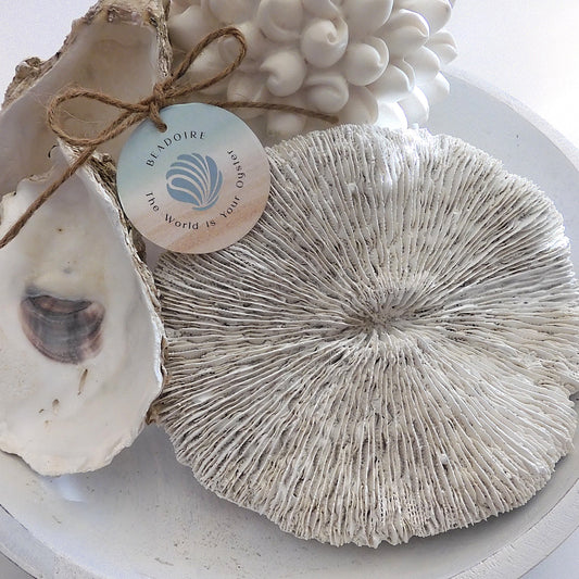 COASTAL STYLE CORAL MUSHROOM DECOR SHELL