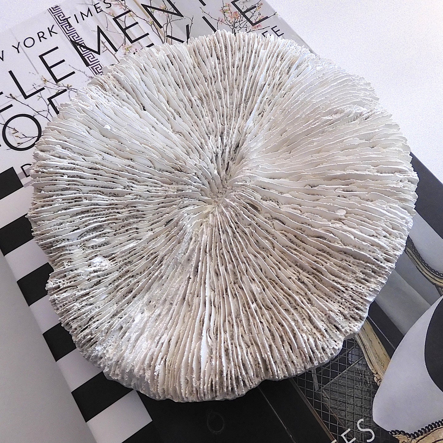 COASTAL STYLE CORAL MUSHROOM DECOR SHELL