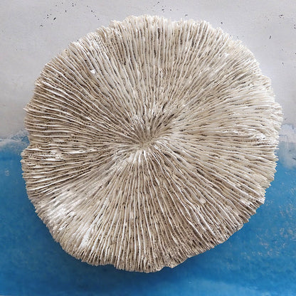 COASTAL STYLE CORAL MUSHROOM DECOR SHELL
