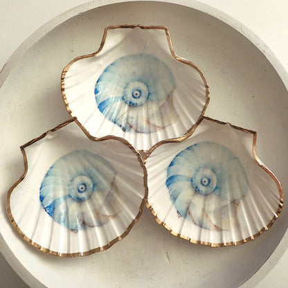 SCALLOP SHELL TRINKET DISH - 'NAUTILUS SHELL'